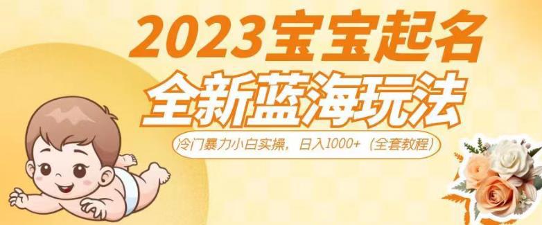 2023宝宝起名全新蓝海玩法,冷门暴力小白实操,日入1000 (全套教程)【揭秘】