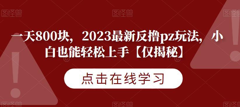 2023最新反撸PZ玩法揭秘，一天轻松赚800块！【仅揭秘】-阿灿说钱