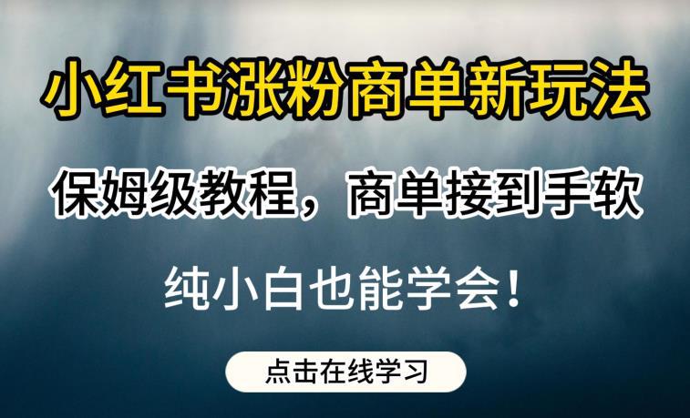 小红书商单新玩法揭秘！保姆级教程，轻松涨粉赚零花【附带教程】-阿灿说钱