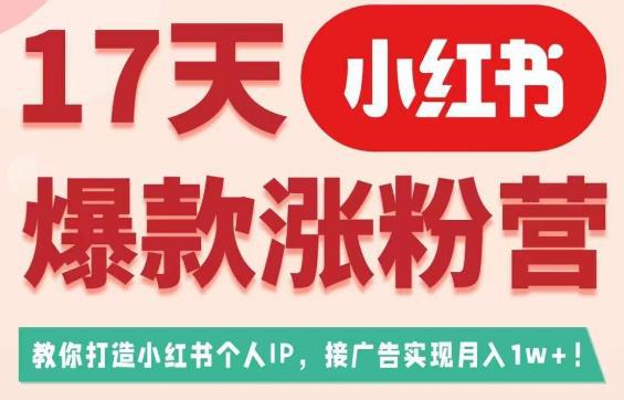 17天小红书爆款涨粉营（广告变现方向），教你打造小红书博主IP、接广告变现的-阿灿说钱