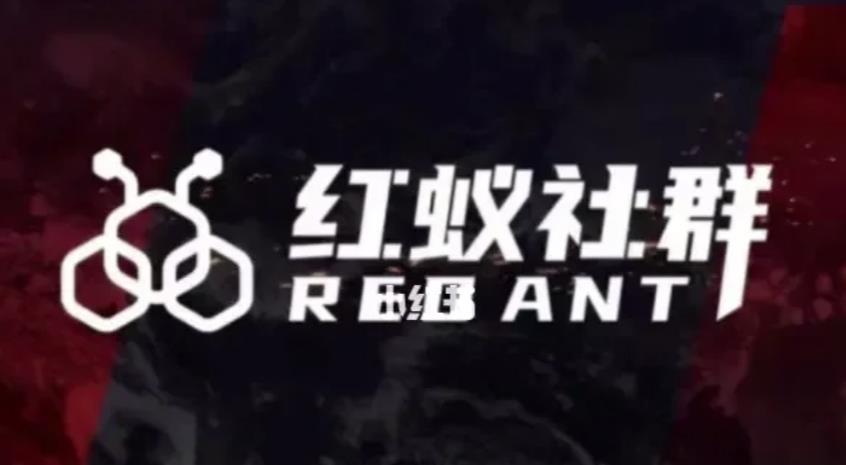 社群运营:红蚁社群【48节落地系统课程 2000人高端社群】
