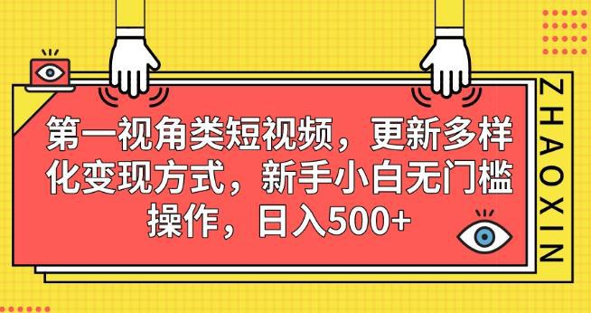 第一视角类短视频,更新多样化变现方式,新手小白无门槛操作,日入500 【揭秘】