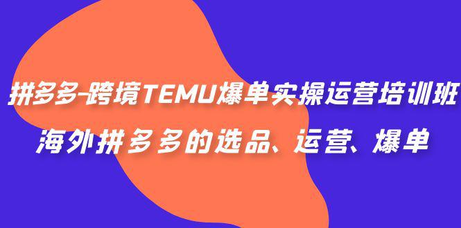 拼多多-跨境TEMU爆单实操运营培训班，海外拼多多的选品、运营、爆单-阿灿说钱