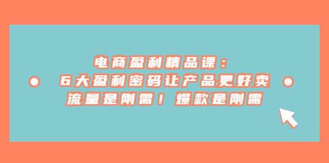 图片[1]-电商 盈利精品课：6大盈利 密码让产品更好卖，流量是刚需！爆款是刚需-阿灿说钱