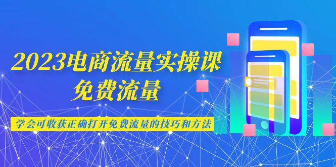 2023电商流量实操课-免费流量，学会可收获正确打开免费流量的技巧和方法-阿灿说钱