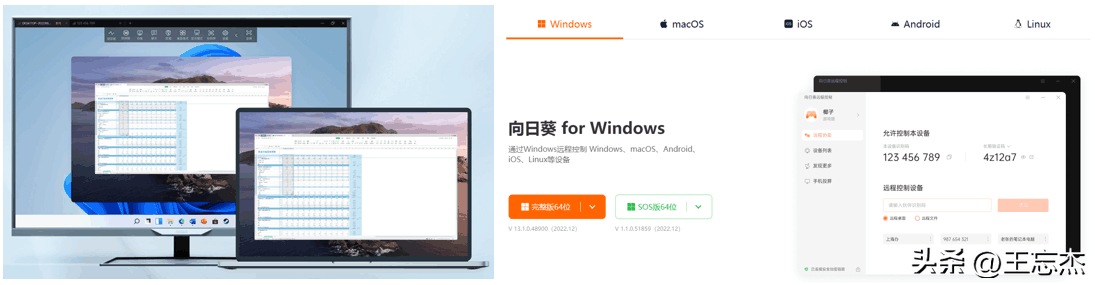 图片[13]-超好用的5款远程控制软件：QQ、ToDesk、向日葵、TeamViewer，哪个更好用？-阿灿说钱