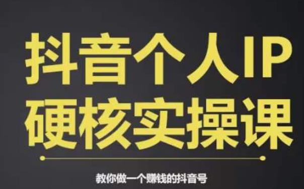 个人IP创富系统，商业定位，流量打造，短视频变现，教你做个赚钱的抖音号-阿灿说钱