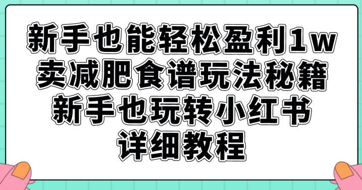 小白也能轻松盈利1W，卖减肥食谱玩法秘籍，新手也玩转小红书详细教程【揭秘】-阿灿说钱
