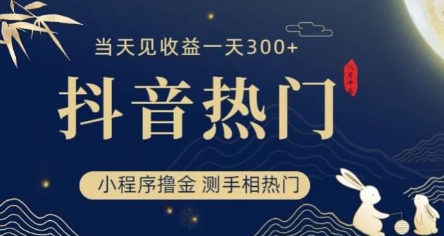 抖音最新小程序撸金,测手相上热门,当天见收益一小时变现300 【揭秘】
