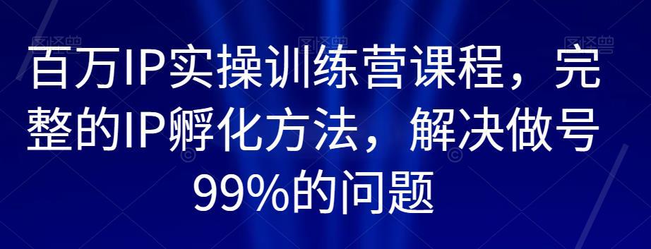 百万IP实操训练营课程，完整的IP孵化方法，解决做号99%的问题-阿灿说钱