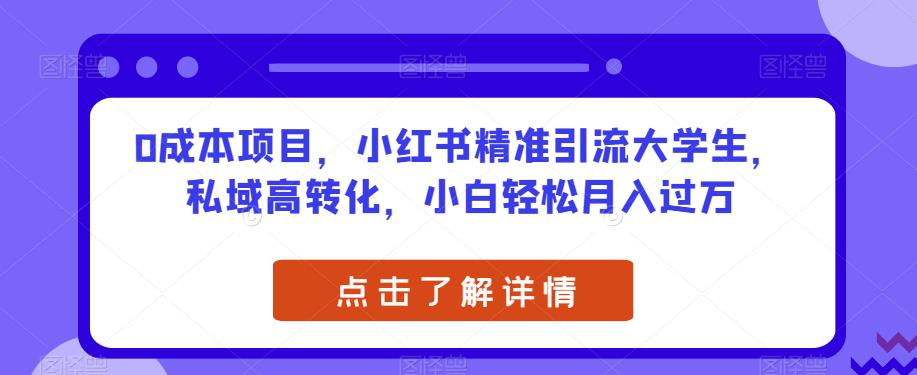 0成本项目，小红书精准引流大学生，私域高转化，小白轻松月入过万【揭秘】-阿灿说钱
