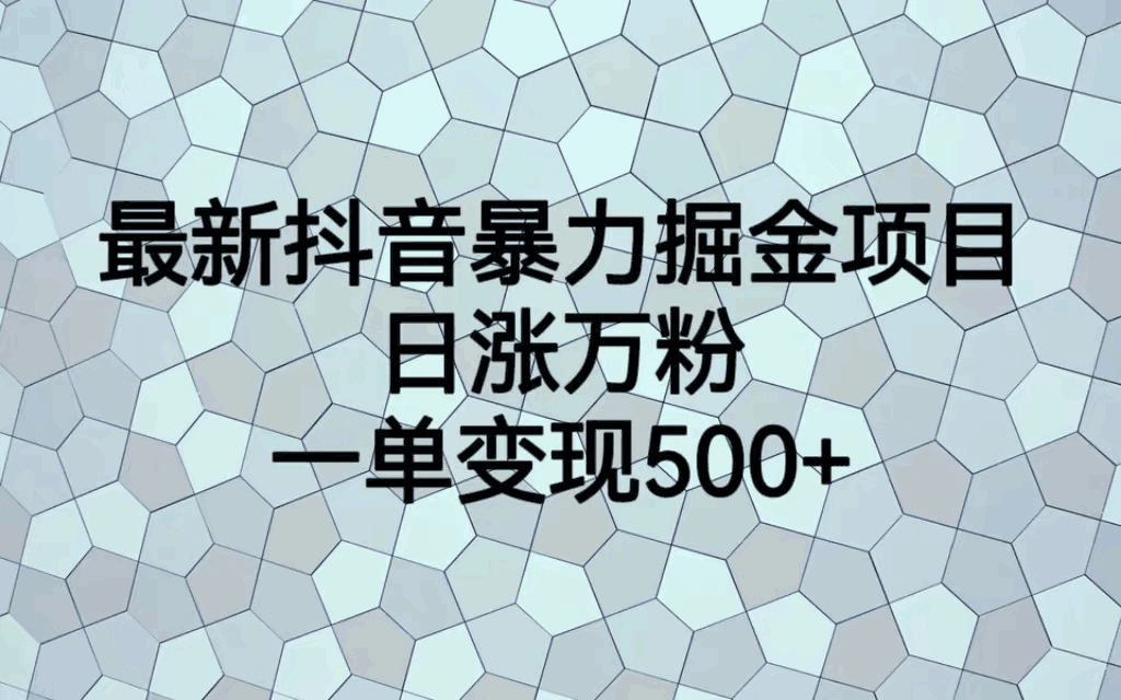 最火热的抖音暴力掘金项目,日涨万粉,多种变现方式,一单变现可达500+-阿灿说钱