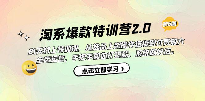 图片[1]-淘系爆款特训营2.0【第六期】从选品上架到付费放大 全店运营 打爆款 做好店-阿灿说钱