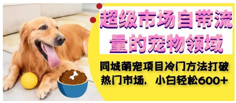 同城萌宠项目：小白轻松在超级市场自带流量的宠物领域获利，小白轻松600+-阿灿说钱