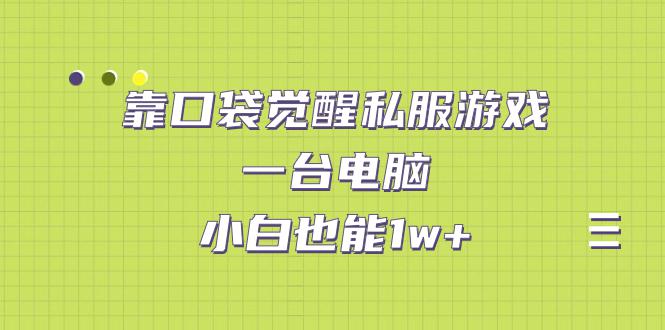 图片[1]-靠口袋觉醒私服游戏，一台电脑，小白也能1w+（教程+工具+资料）-阿灿说钱