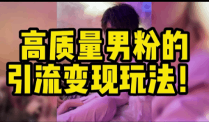最新男粉引流 一天引流几百人 日赚1千-阿灿说钱