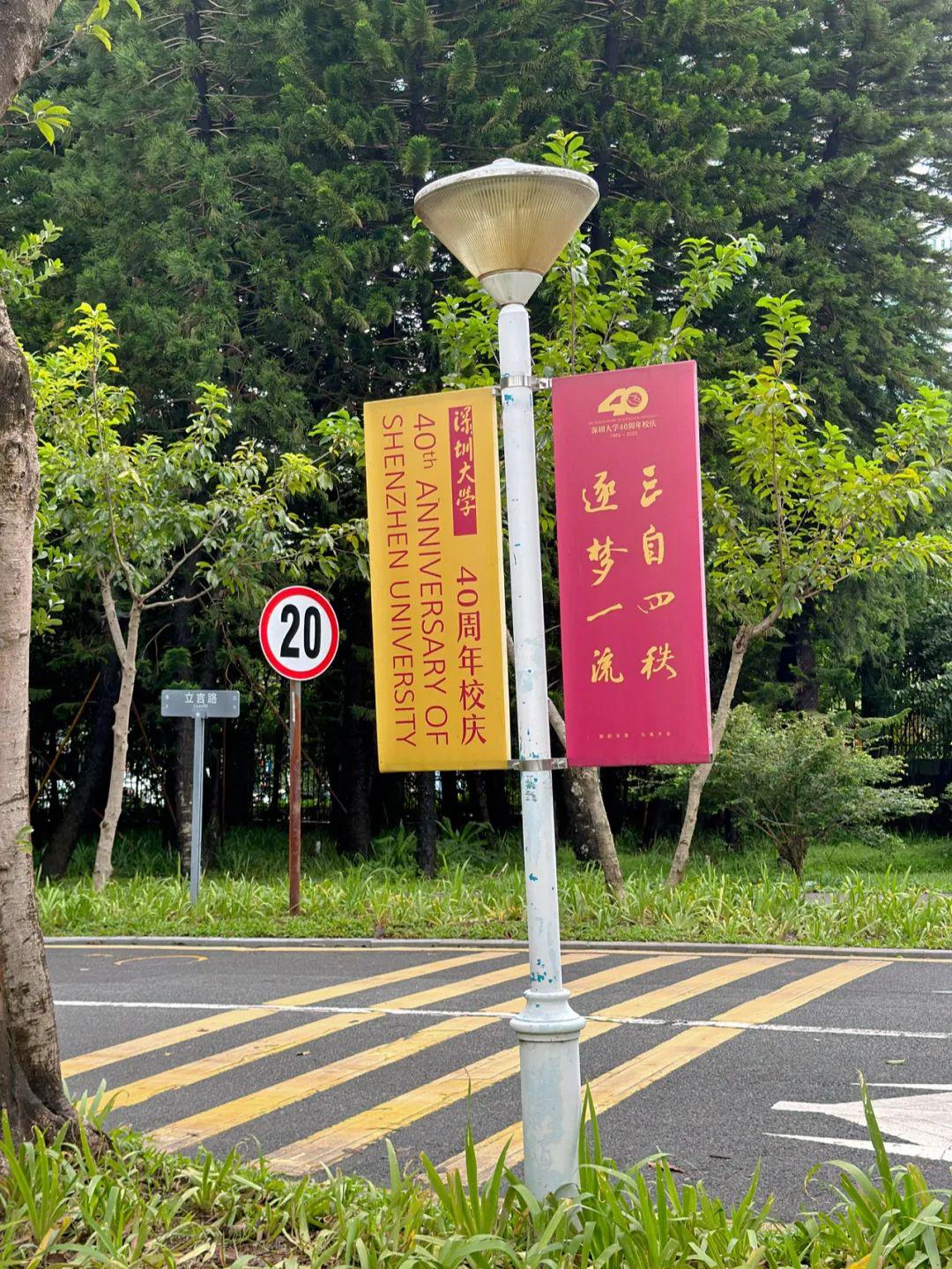 图片[6]-从自由职业中发现的惊喜，让人犹如置身热闹市集-阿灿说钱