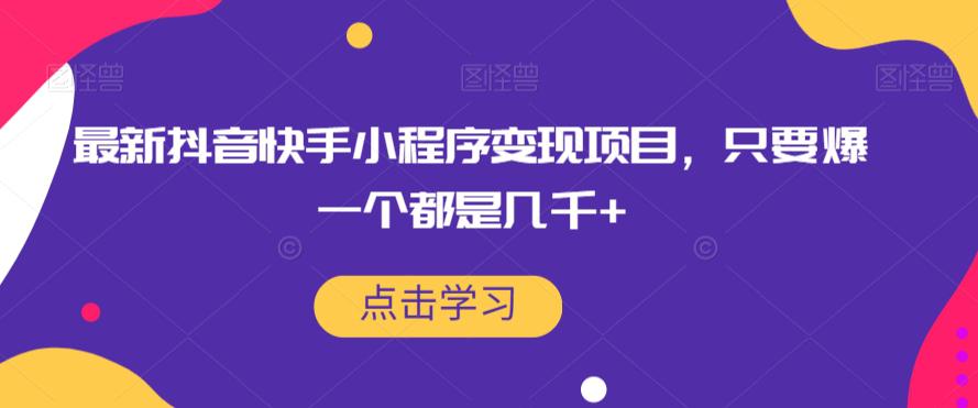 最新抖音快手小程序变现项目,只要爆一个都是几千
