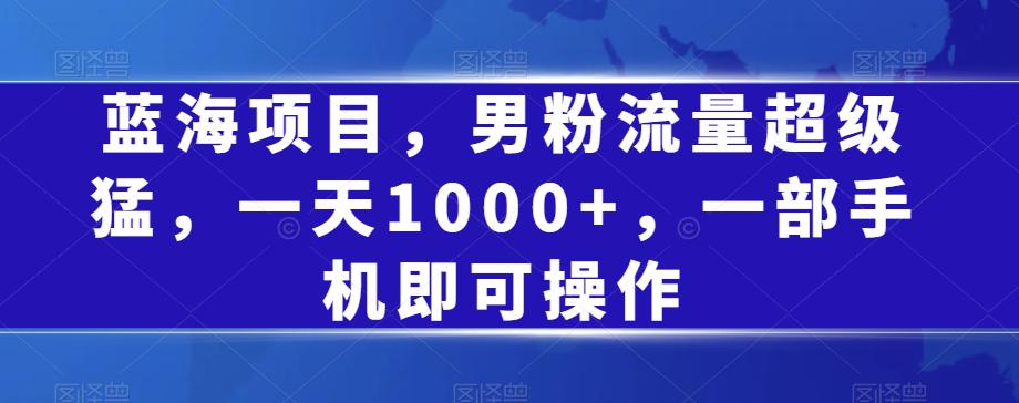 蓝海项目，男粉流量超级猛，一天1000+，一部手机即可操作【揭秘】-阿灿说钱