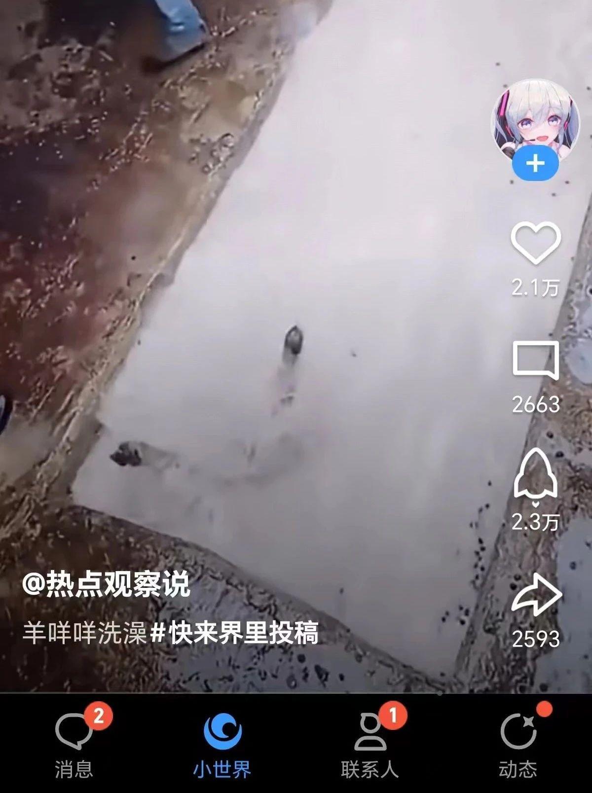 QQ小世界短视频项目：内容搬运的机会，如何在洪流中脱颖而出？-阿灿说钱