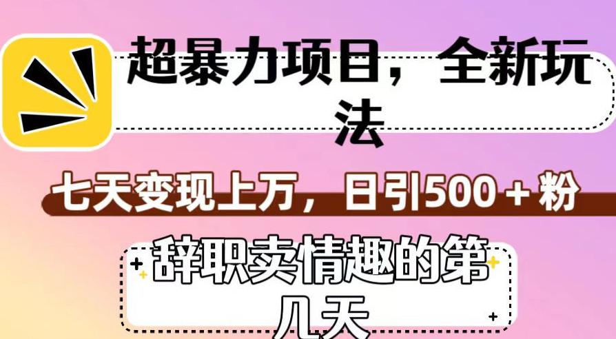 超暴利项目，全新玩法（辞职卖情趣的第几天），七天变现上万，日引500+粉【揭秘】-阿灿说钱