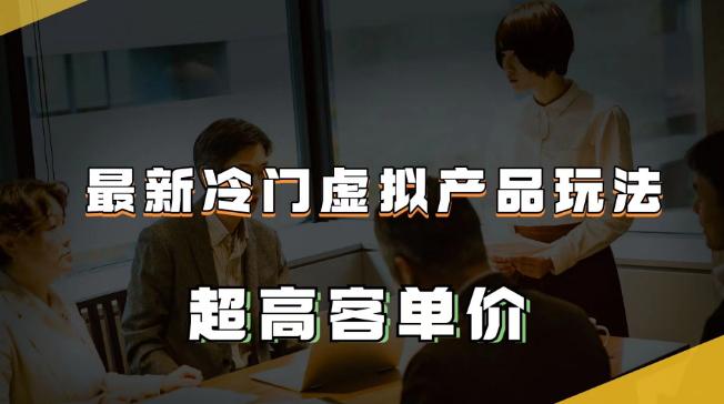 最新冷门虚拟产品玩法，月入2-3万＋，超高客单价让你收入翻倍-阿灿说钱