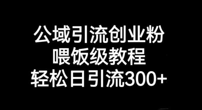 图片[1]-公域引流创业粉，喂饭级教程，轻松日引流300+【引流技巧】-阿灿说钱