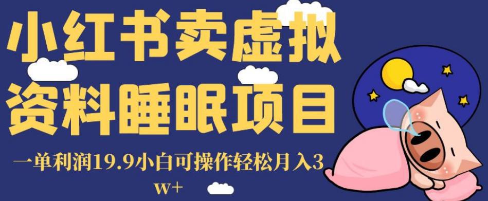 图片[1]-小红书卖虚拟资料睡眠项目，一单利润19.9小白可操作轻松月入3W+【揭秘】-阿灿说钱