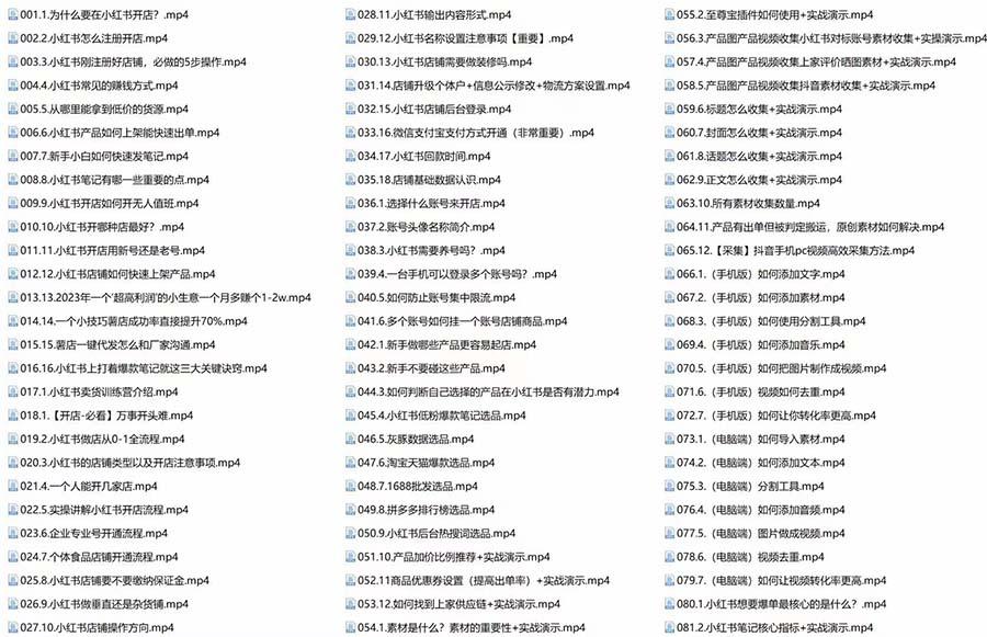 图片[3]-新个体·搞钱-小红书训练营：实战落地运营方法，抓住搞钱方向，每月多搞2w+-阿灿说钱