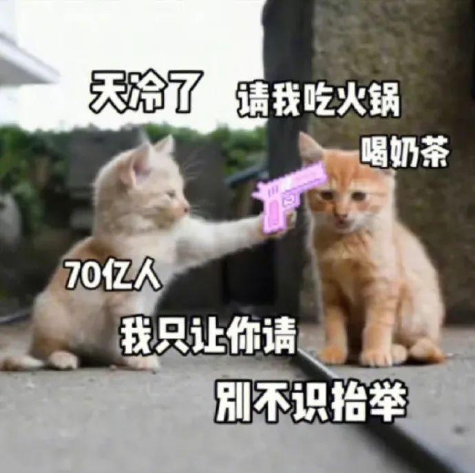 图片[2]-菜鸟驿站盈利分析：隐藏的商机与挑战-阿灿说钱