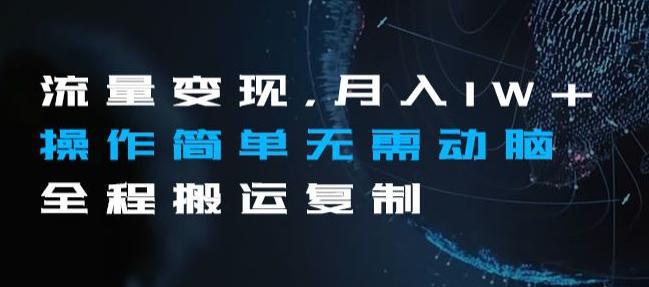 图片[1]-流量变现，月入1W+操作简单无需动脑全程搬运复制【揭秘】-阿灿说钱