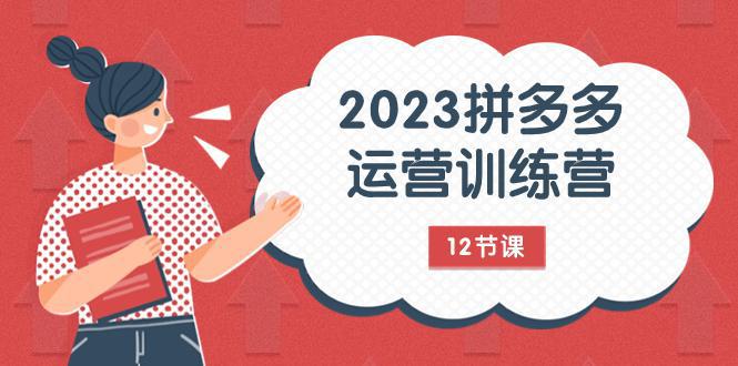 2023年拼多多运营攻略：解锁流量秘密，全方位免费+付费流量实战解析（12节课）-阿灿说钱