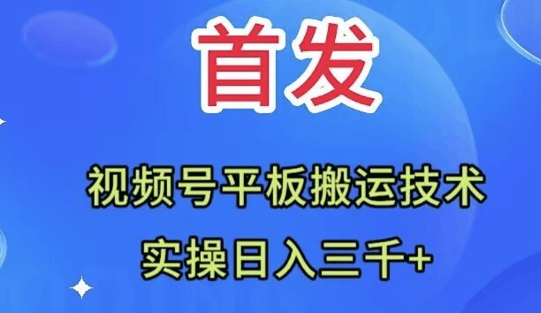 图片[1]-全网首发：视频号平板搬运技术，实操日入3000＋-阿灿说钱