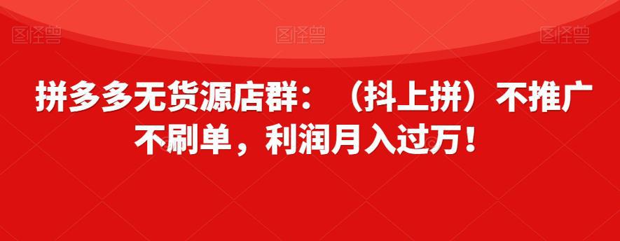 拼多多无货源店群：轻松月入过万，零推广零刷单！-阿灿说钱