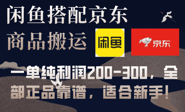 闲鱼搭配京东备份库搬运，一单纯利润200-300，全部正品靠谱，适合新手！-阿灿说钱