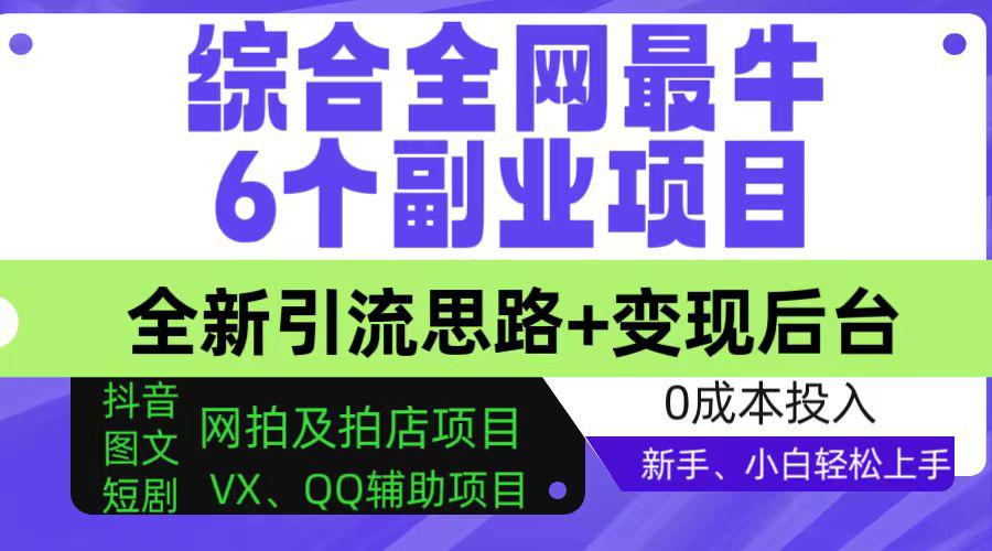 综合全网 6 个副业项目，全新引流思路+变现后台，有手就能做，新手、小白也能轻松上手-阿灿说钱
