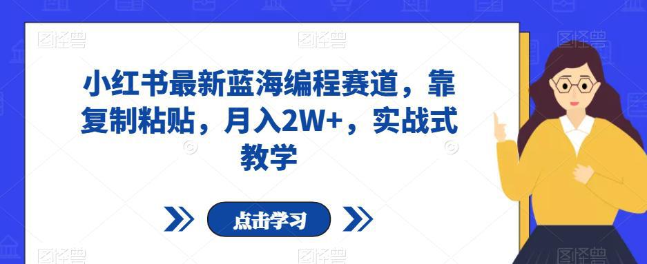 图片[1]-小红书最新蓝海编程赛道，靠复制粘贴，月入2W+，实战式教学【揭秘】-阿灿说钱