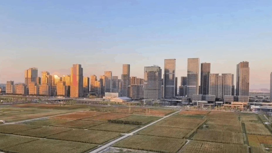 城市，农村，一念之差，家族命运由此改写。（混沌）-阿灿说钱