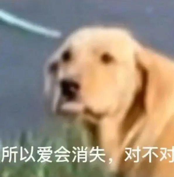 图片[3]-中年失业潮来临：他们如何应对和转型？-阿灿说钱
