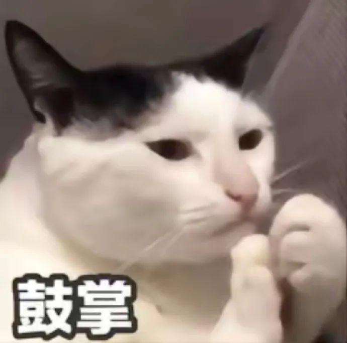 图片[2]-中年失业潮来临：他们如何应对和转型？-阿灿说钱