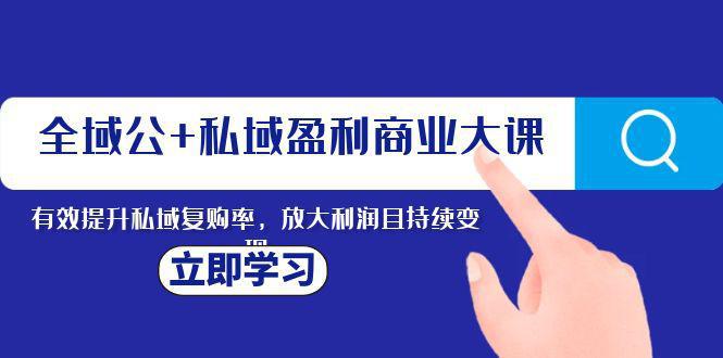图片[1]-全域营销：私域盈利的商业新课，持续变现利润，提高复购率-阿灿说钱