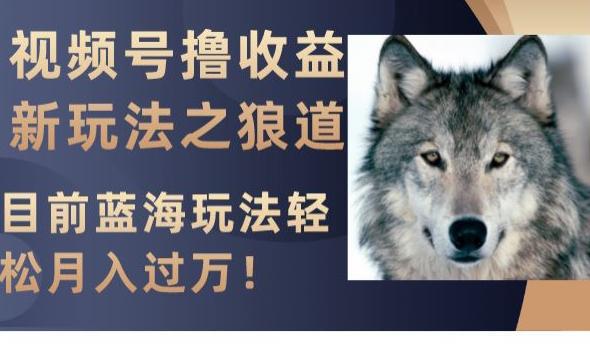 视频号撸收益新玩法之狼道，目前蓝海玩法，轻松月入过万【揭秘】-阿灿说钱