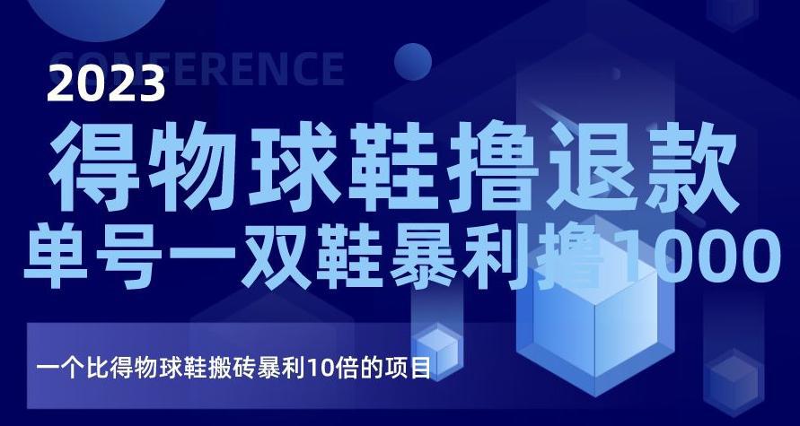 2023得物球鞋撸退款，单号一双鞋暴利撸1000，一个比得物球鞋搬砖暴利10倍的项目【揭秘】-阿灿说钱