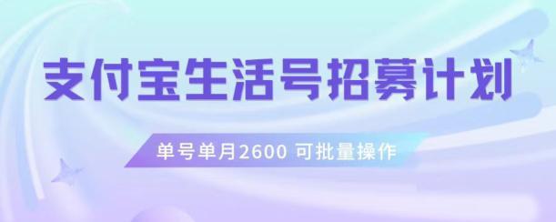 图片[1]-支付宝生活号作者招募计划，单号单月2600，可批量去做，工作室一人一个月轻松1W+【揭秘】-阿灿说钱