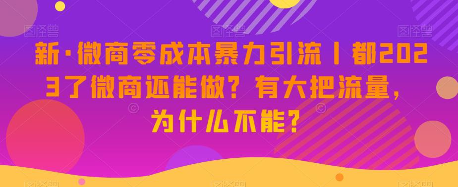 新版微商0成本暴力引流丨都2023了微商还能做？有大把流量，为什么不能？-阿灿说钱