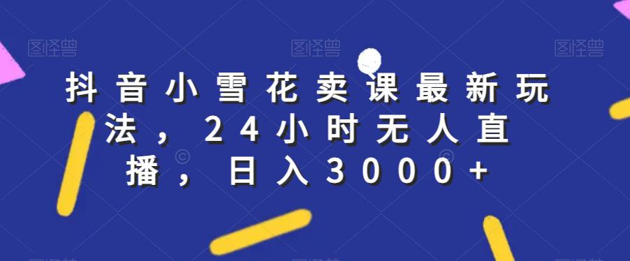 抖音小雪花卖课最新玩法,24小时无人直播,日入3000+【揭秘】-阿灿说钱