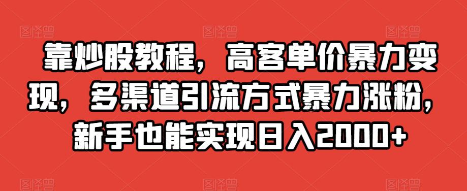 图片[1]-高客单价暴力变现，新手也能实现日入2000+，多渠道引流方式助你涨粉！-阿灿说钱
