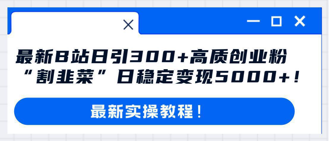哔哩哔哩（B站）引流高质量创业粉教程：日引300+，“割韭菜”日稳定变现5000+！-阿灿说钱
