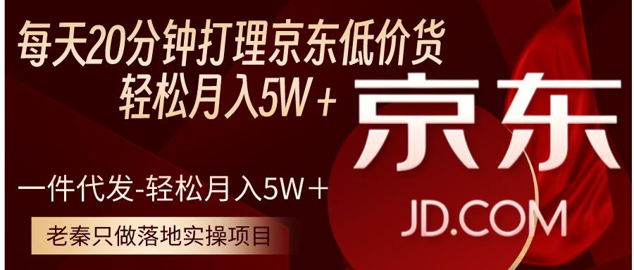 每天20分钟打理京东低价货,一件代发-轻松月入5W＋-阿灿说钱
