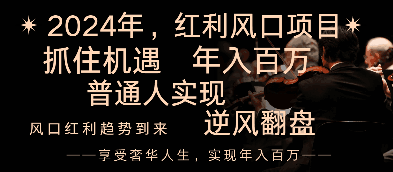 图片[1]-2024红利风口项目来袭，享受第一波红利，逆风翻盘普通人也能实现，年入百万-阿灿说钱